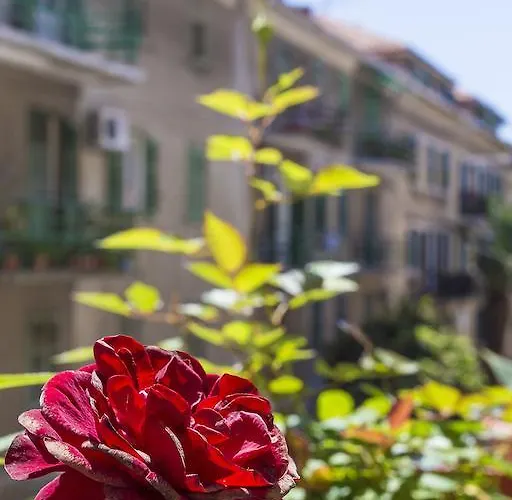 Apartamento Hidden Paradise Bacvice *